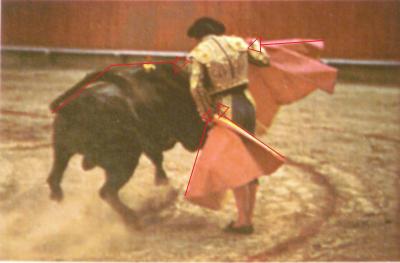 bullfighter arrows